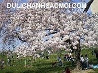 Du lich Anh Sao Moi - Du lich Anh Sao Moi